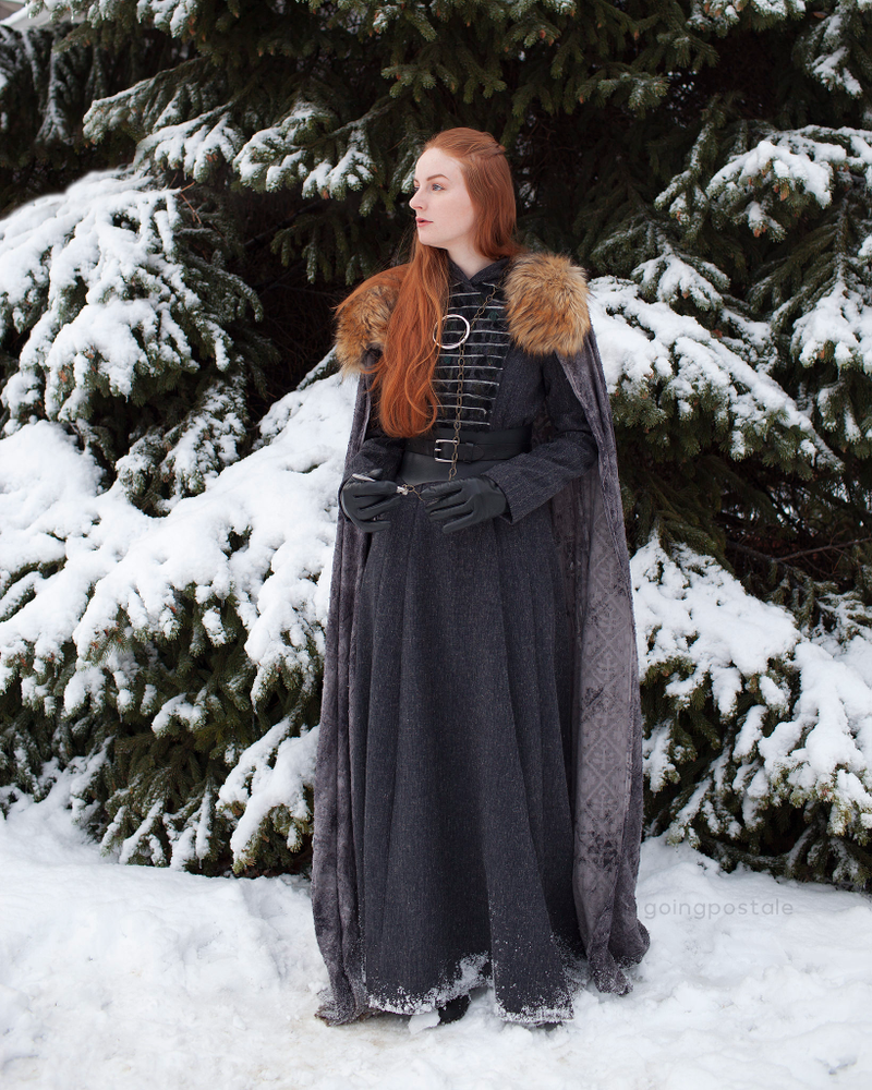 Illustration for article titled There Must Always Be Two Starks In Winterfell